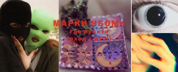 прущие грибы Алексеевка