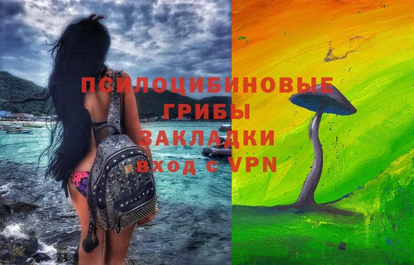 прущие грибы Алексеевка