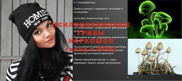 прущие грибы Алексеевка