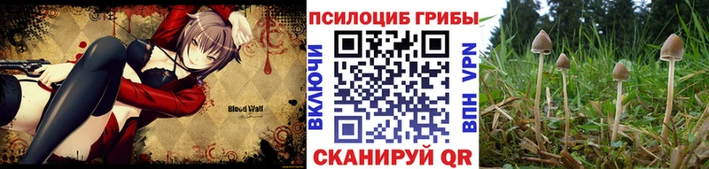 сайты даркнета состав  как найти закладки  Железногорск-Илимский  Псилоцибиновые грибы прущие грибы 